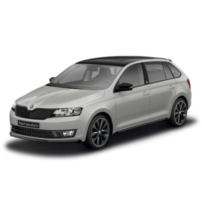 RAPID SPACEBACK 2014>